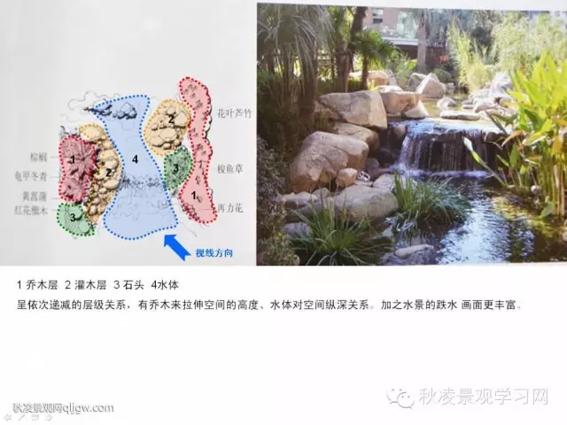 不得不看的植物營(yíng)造實(shí)物圖解析