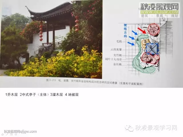 不得不看的植物營(yíng)造實(shí)物圖解析