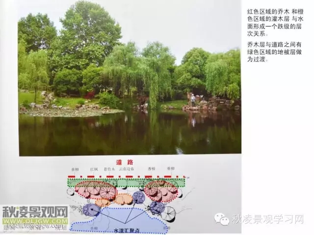 不得不看的植物營(yíng)造實(shí)物圖解析