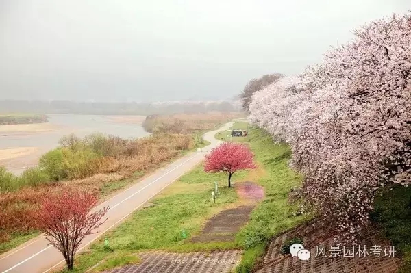 景觀設(shè)計(jì)中地形高差處理不會(huì)？看過(guò)來(lái)！