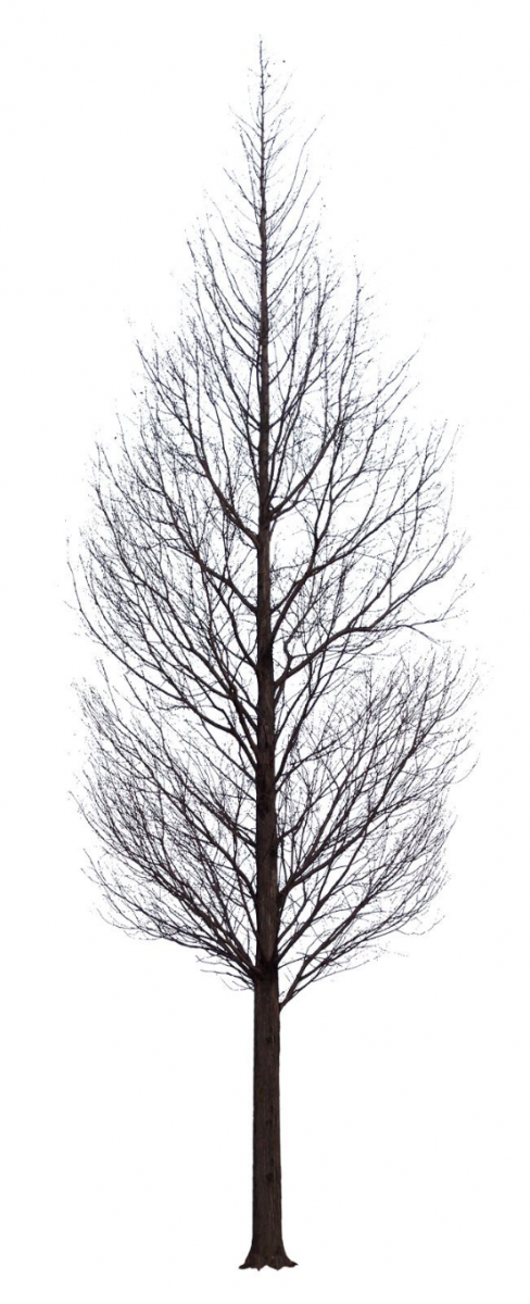 如何自己準備一套申請留學的景觀作品集？（上）