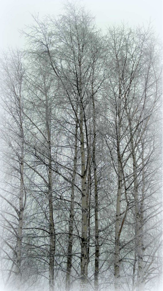 如何自己準備一套申請留學的景觀作品集？（上）