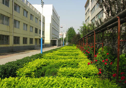 做校園景觀設計你必須要知道的九個原則