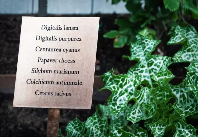 不得不看的優秀校園景觀設計