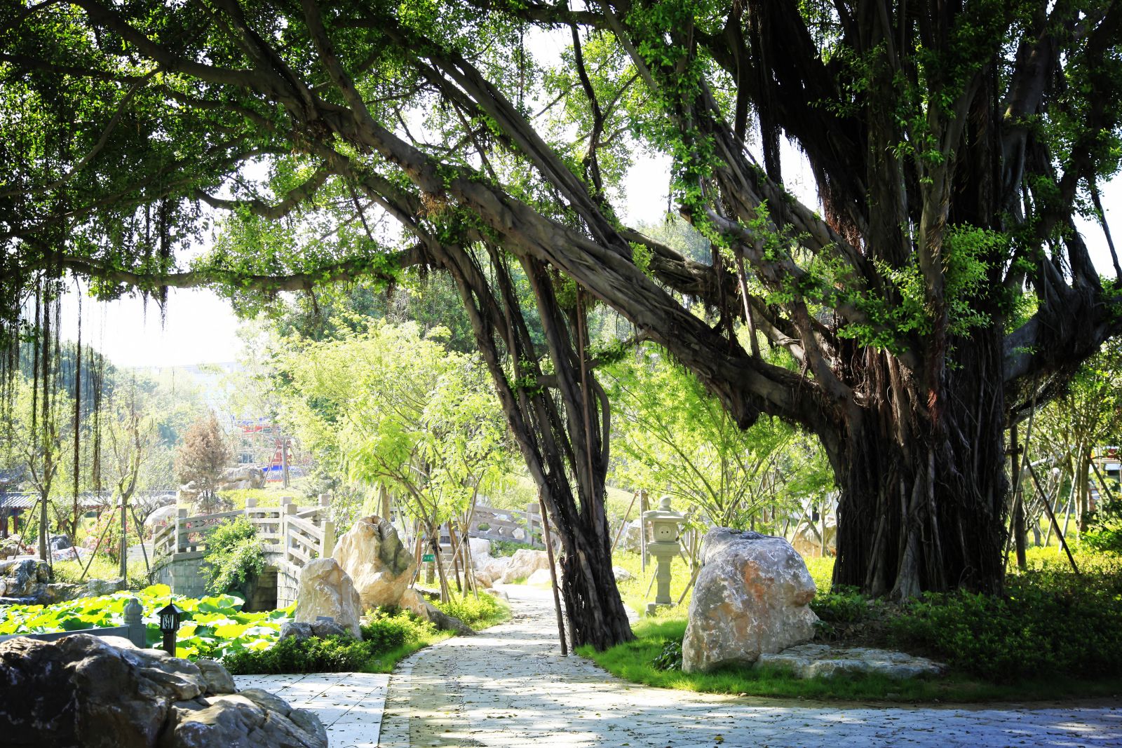 2016園冶杯專業獎參賽項目：福州南公園景觀工程設計