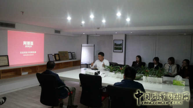 BJF(寶佳豐)國際設計組織員工對“阿那亞”項目進行研究討論