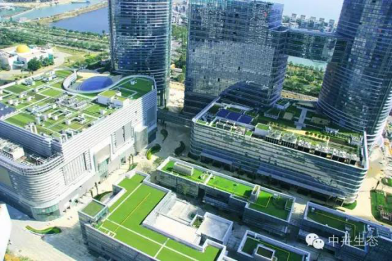 中卉生態(tài)容器種植技術(shù)項目進(jìn)入全國建設(shè)行業(yè)科技成果推廣項目