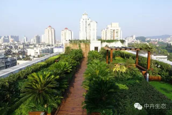 中卉生態(tài)容器種植技術(shù)項目進(jìn)入全國建設(shè)行業(yè)科技成果推廣項目