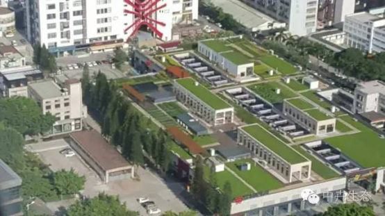 中卉國標產品成功抵御“莫蘭蒂”