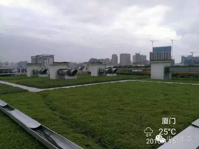 中卉國標產品成功抵御“莫蘭蒂”