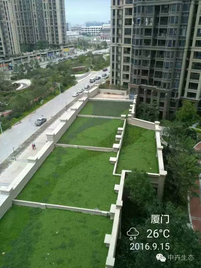 中卉國標產品成功抵御“莫蘭蒂”