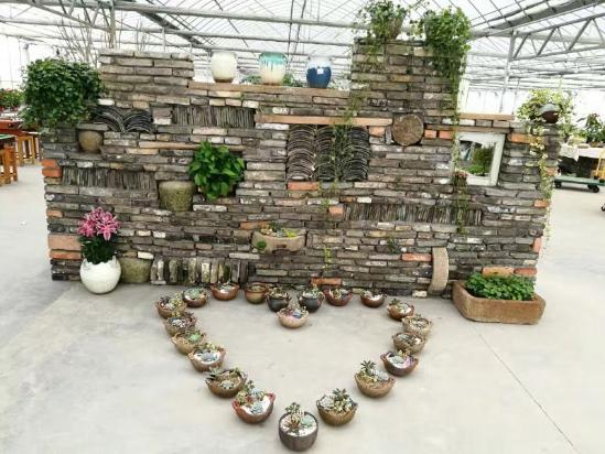 3位女大學生樂當種花匠 坎墩后花園打造“花樣年華