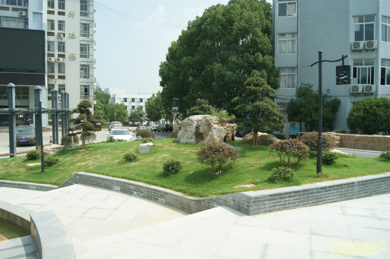 2016園冶杯參賽項目:安徽警官職業學院校園綠化工程