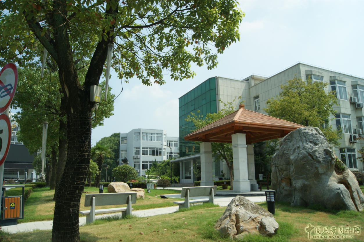 2016園冶杯參賽項目:安徽警官職業學院校園綠化工程