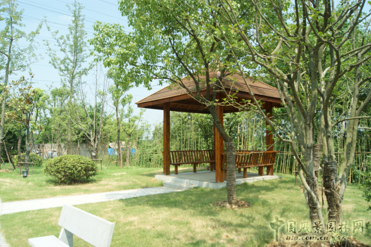 2016園冶杯參賽項目:安徽警官職業學院校園綠化工程