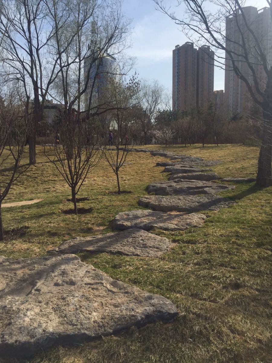 2016園冶杯專業(yè)獎(jiǎng)參賽項(xiàng)目:大同市兒童公園改造項(xiàng)目