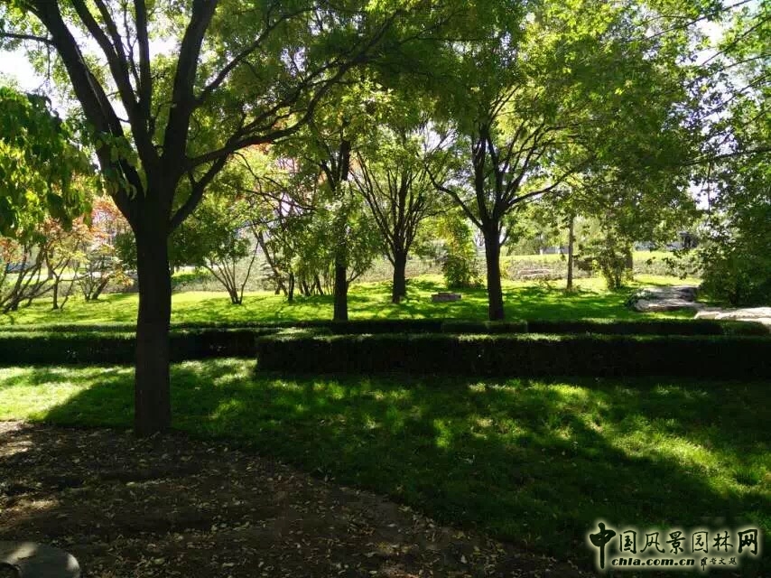 2016園冶杯專業(yè)獎(jiǎng)參賽項(xiàng)目:大同市兒童公園改造項(xiàng)目