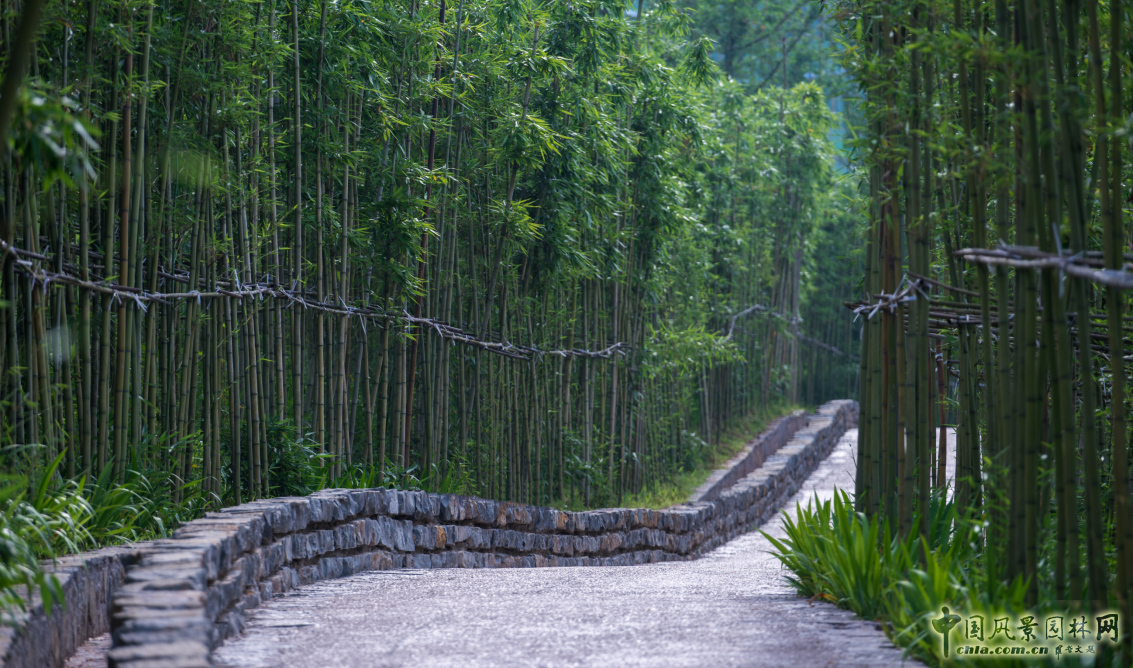 2016園冶杯專業(yè)獎參賽項(xiàng)目:金海灣公園