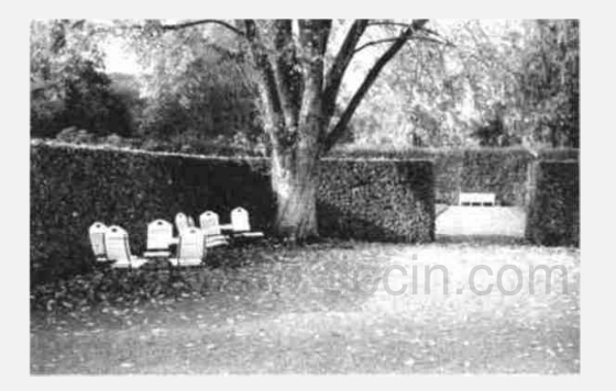 新藝術(shù)運(yùn)動(dòng)中的園林設(shè)計(jì)