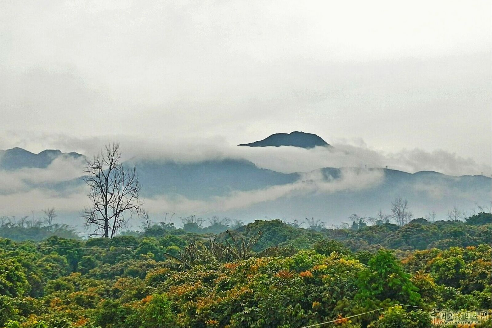 2016園冶杯：閩江北岸休閑生態(tài)公園景觀