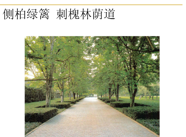 丹·克雷和米勒花園解析