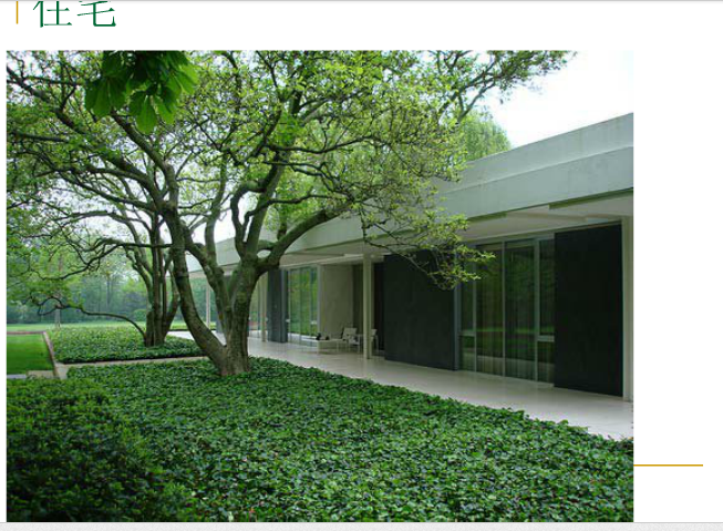 丹·克雷和米勒花園解析