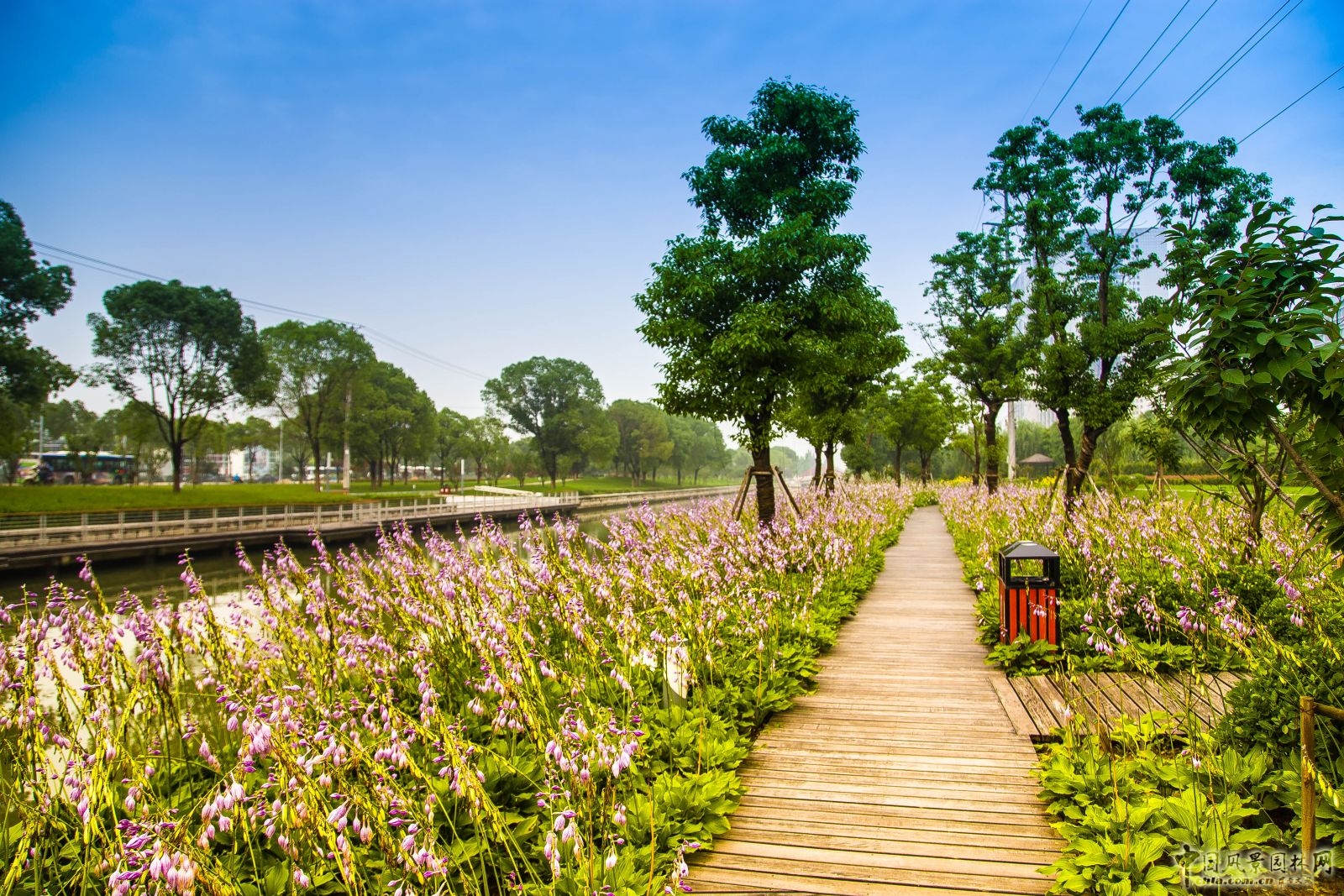 2016園冶杯：閩江北岸休閑生態公園景觀