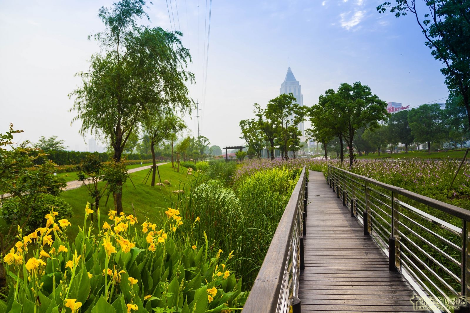 2016園冶杯：閩江北岸休閑生態公園景觀