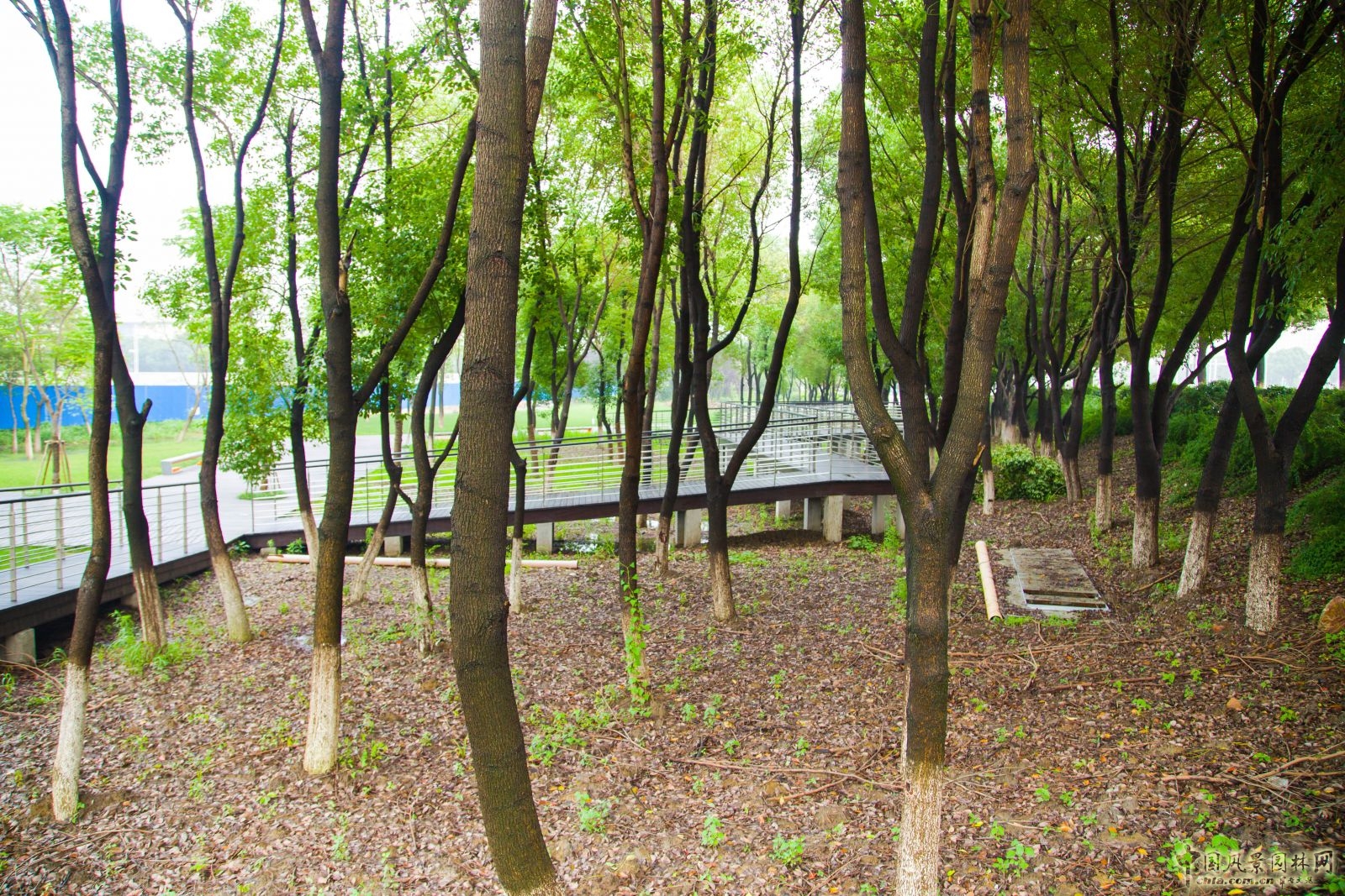 2016園冶杯：都市綠纖維---徐圖港綠化景觀改造工程