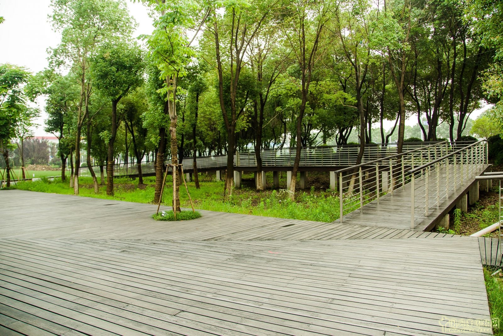 2016園冶杯：都市綠纖維---徐圖港綠化景觀改造工程