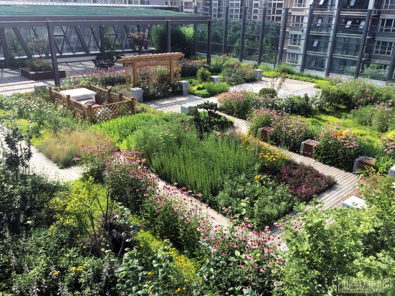 2016園冶杯:中國(guó)標(biāo)準(zhǔn)科技集團(tuán)辦公樓屋頂花園