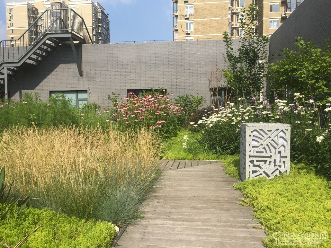 2016園冶杯：中國標準科技集團辦公樓屋頂花園