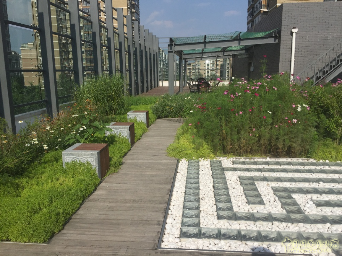 2016園冶杯：中國標準科技集團辦公樓屋頂花園