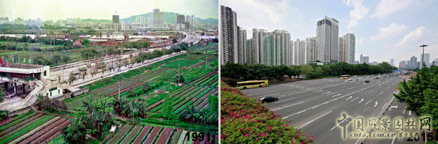 【園冶講壇】王才強(qiáng):城市中的藍(lán)與綠