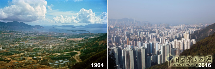 【園冶講壇】王才強(qiáng):城市中的藍(lán)與綠