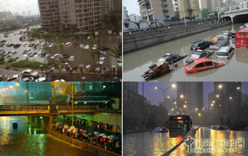 【園冶講壇】王才強:城市中的藍與綠