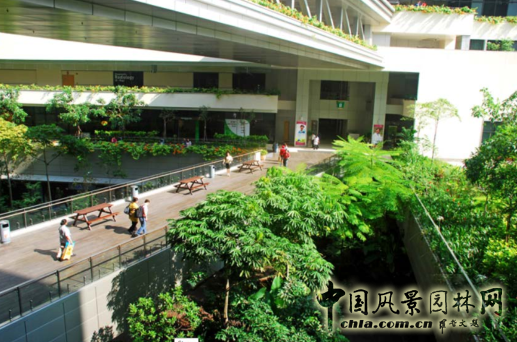 【園冶講壇】王才強(qiáng)：城市中的藍(lán)與綠