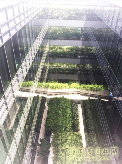 【園冶講壇】王才強(qiáng):城市中的藍(lán)與綠