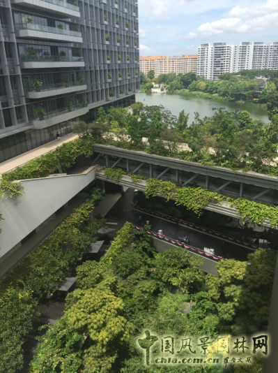 【園冶講壇】王才強(qiáng):城市中的藍(lán)與綠