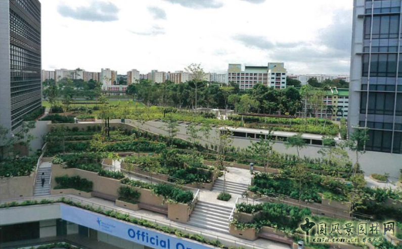 【園冶講壇】王才強(qiáng)：城市中的藍(lán)與綠