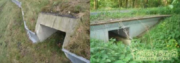 【園冶講壇】王才強:城市中的藍與綠