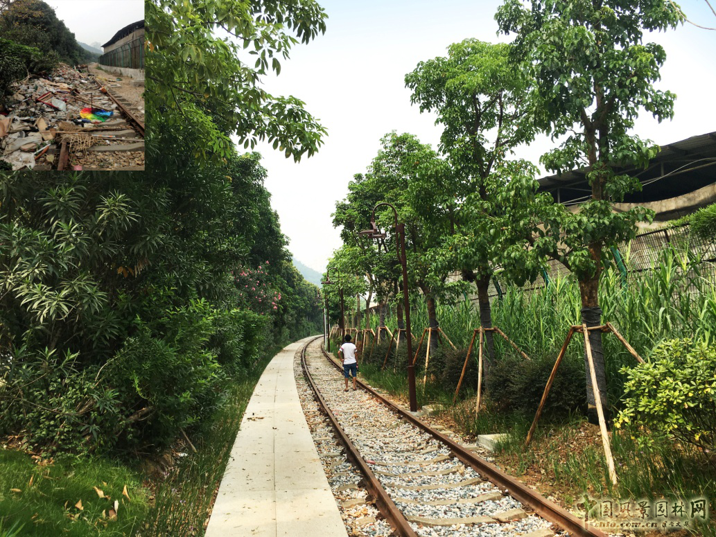 2016園冶杯: 廈門自貿區鐵路公園綠化工程
