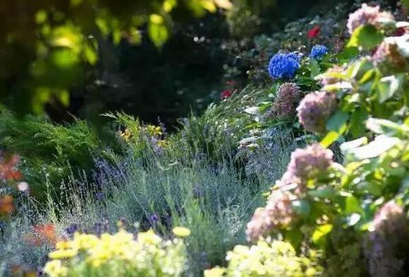 花園種植設計：花園里種出來的“音樂”