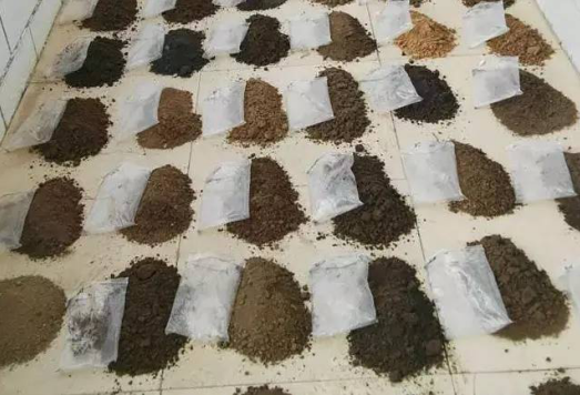 大數據時代 蒙草靠自身力量實現精準修復生態