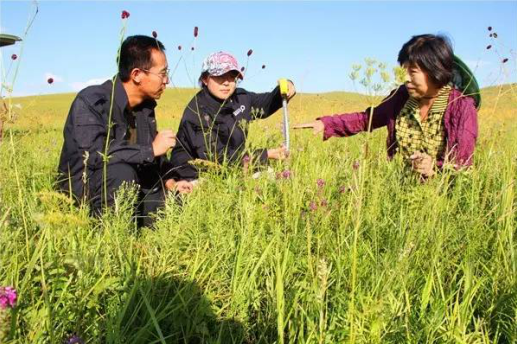 大數(shù)據(jù)時(shí)代 蒙草靠自身力量實(shí)現(xiàn)精準(zhǔn)修復(fù)生態(tài)