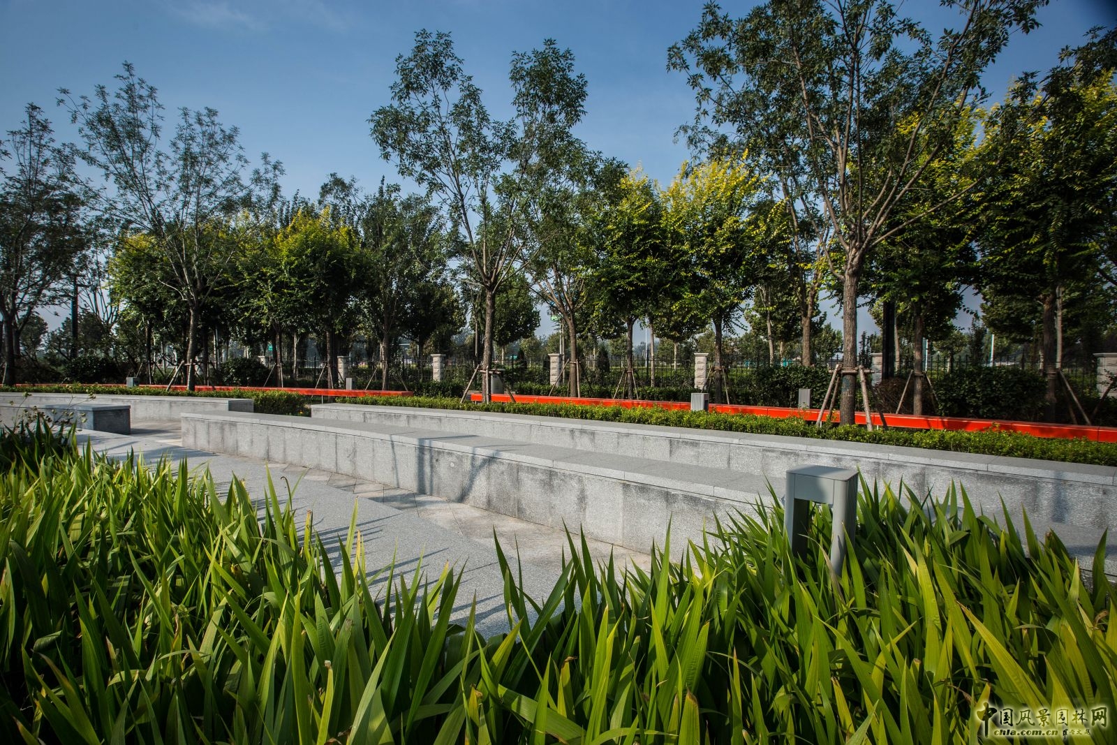 2016園冶杯：滄州明珠大廈景觀