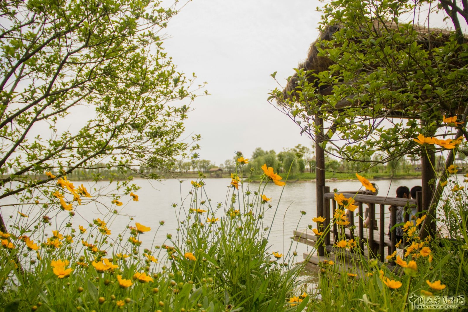 2016園冶杯：杵山生態公園