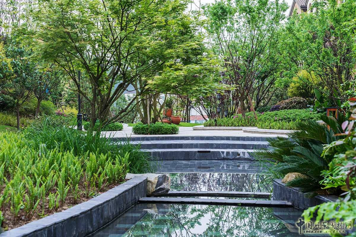 2016園冶杯專業獎參賽項目：龍湖·兩江新宸