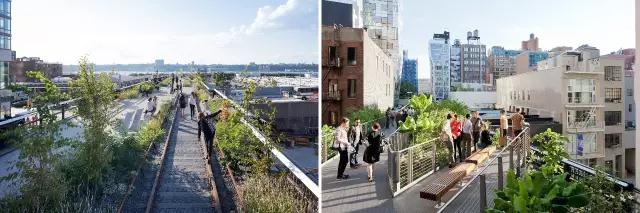 坎蒂斯·達蒙:從高線公園項目融資談起