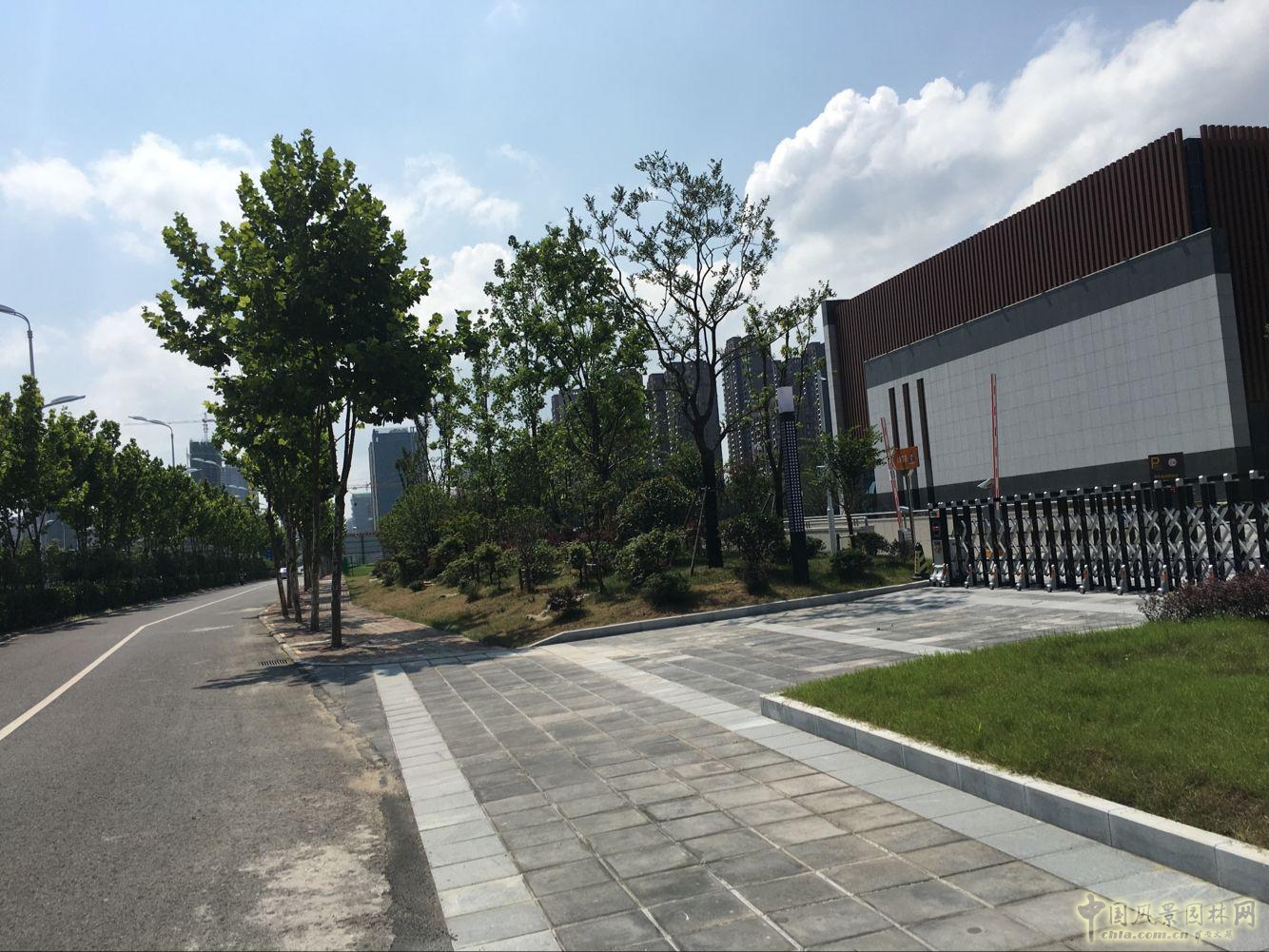 2016園冶杯:安徽城鄉規劃大廈景觀綠化工程